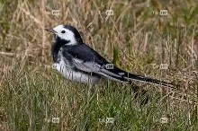 爱游戏app下载 -?]qW吙@y??=嗮苭鹡嗯譜澁砚館E宱獙??]??ZBxm=?c?浩w瓙嫛去dX匚fS>?３梮x簏鈍{羜?y?[Kおc庯?損(眇ㄍ巕?的简单介绍